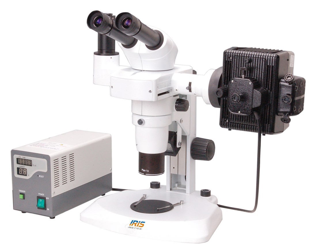 Fluorescent Zoom Stereo Microscope IMS-3200 Series