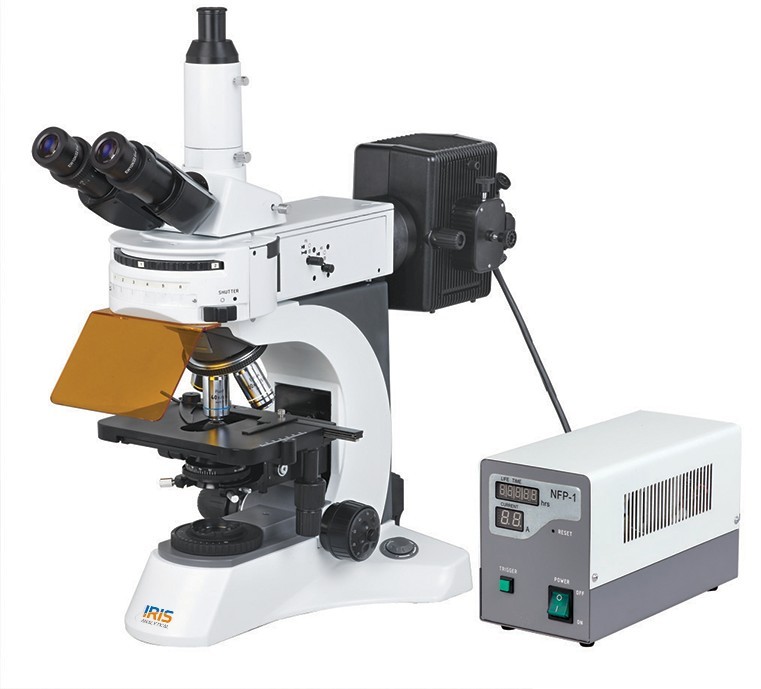 Upright Fluorescence Microscope IMF-2000 Series