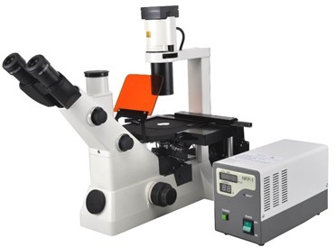 Inverted Fluorescence Microscope IMF-3000 Series