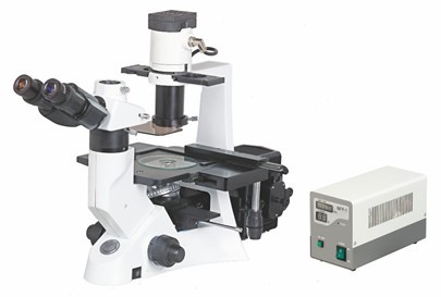 Inverted Fluorescence Microscope IMF-3100 Series
